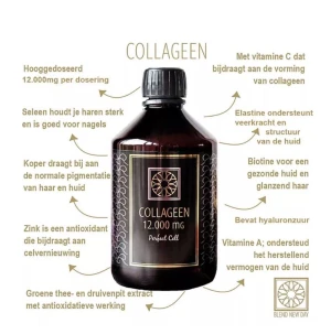 Blend New Day Vloeibare Collageen 12000 mg Perfect Cell