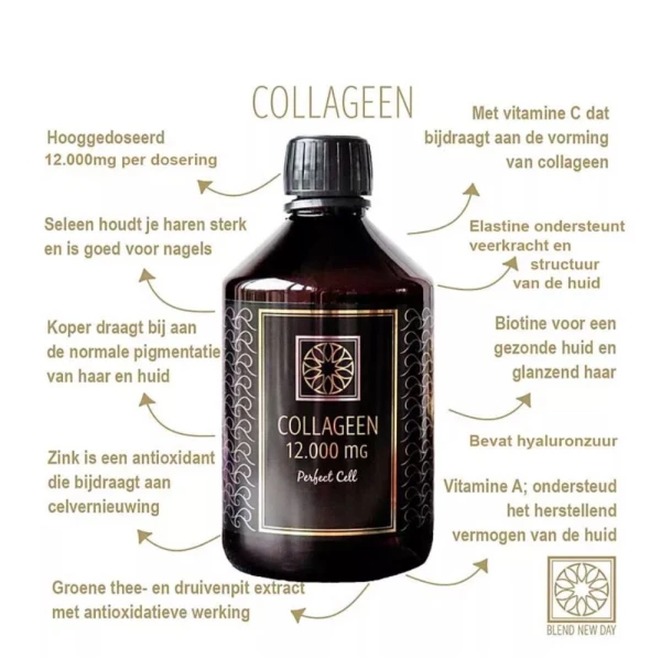 Blend New Day Vloeibare Collageen 12000 mg Perfect Cell